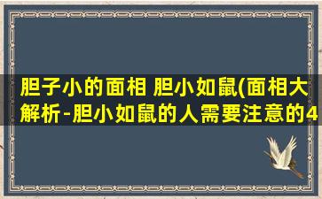 胆子小的面相 胆小如鼠(面相大解析-胆小如鼠的人需要注意的4点)